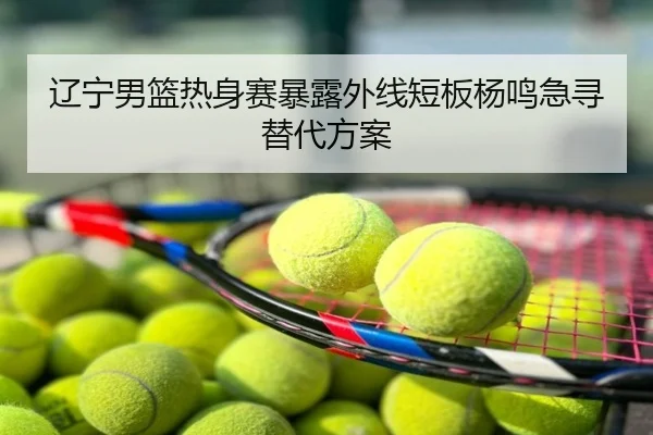 辽宁男篮热身赛暴露外线短板杨鸣急寻替代方案