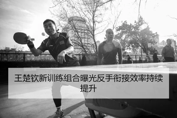 王楚钦新训练组合曝光反手衔接效率持续提升