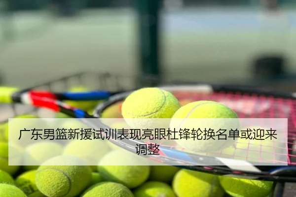 广东男篮新援试训表现亮眼杜锋轮换名单或迎来调整